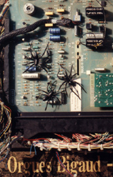 Détail de l'orgue de barbarie "maléfique"